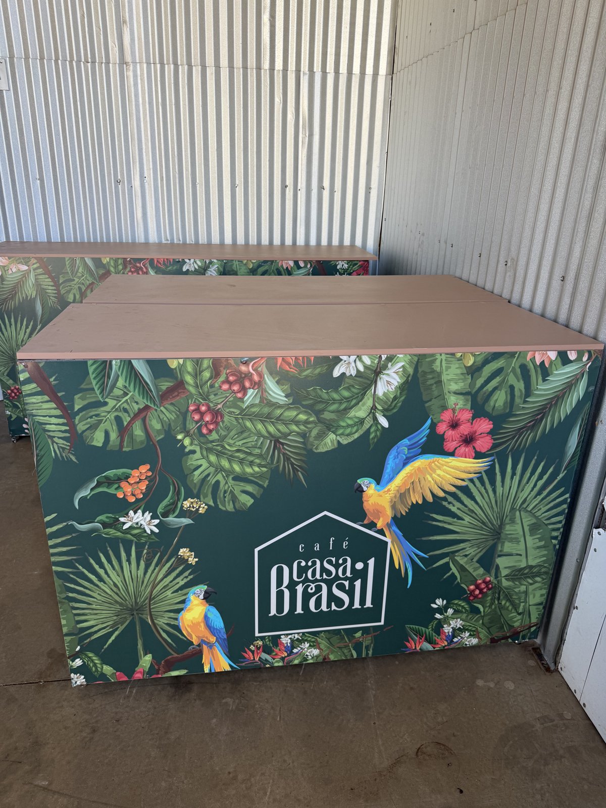 Coffee cherries freshly harvested on the farm